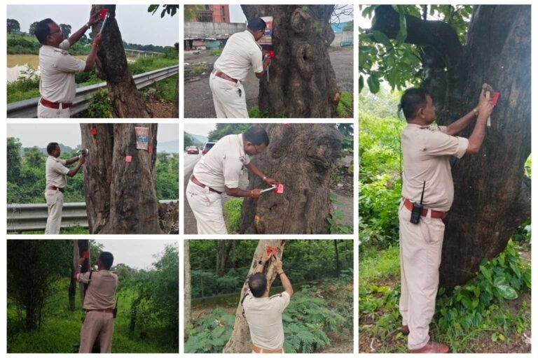 747225.jpg